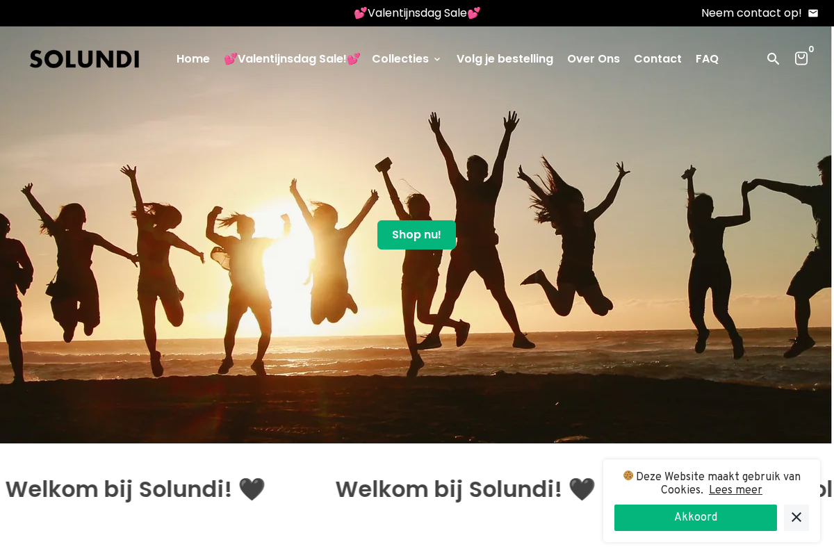 Solundi homepage screenshot