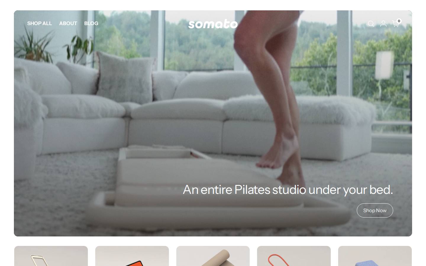 somato.fit homepage screenshot