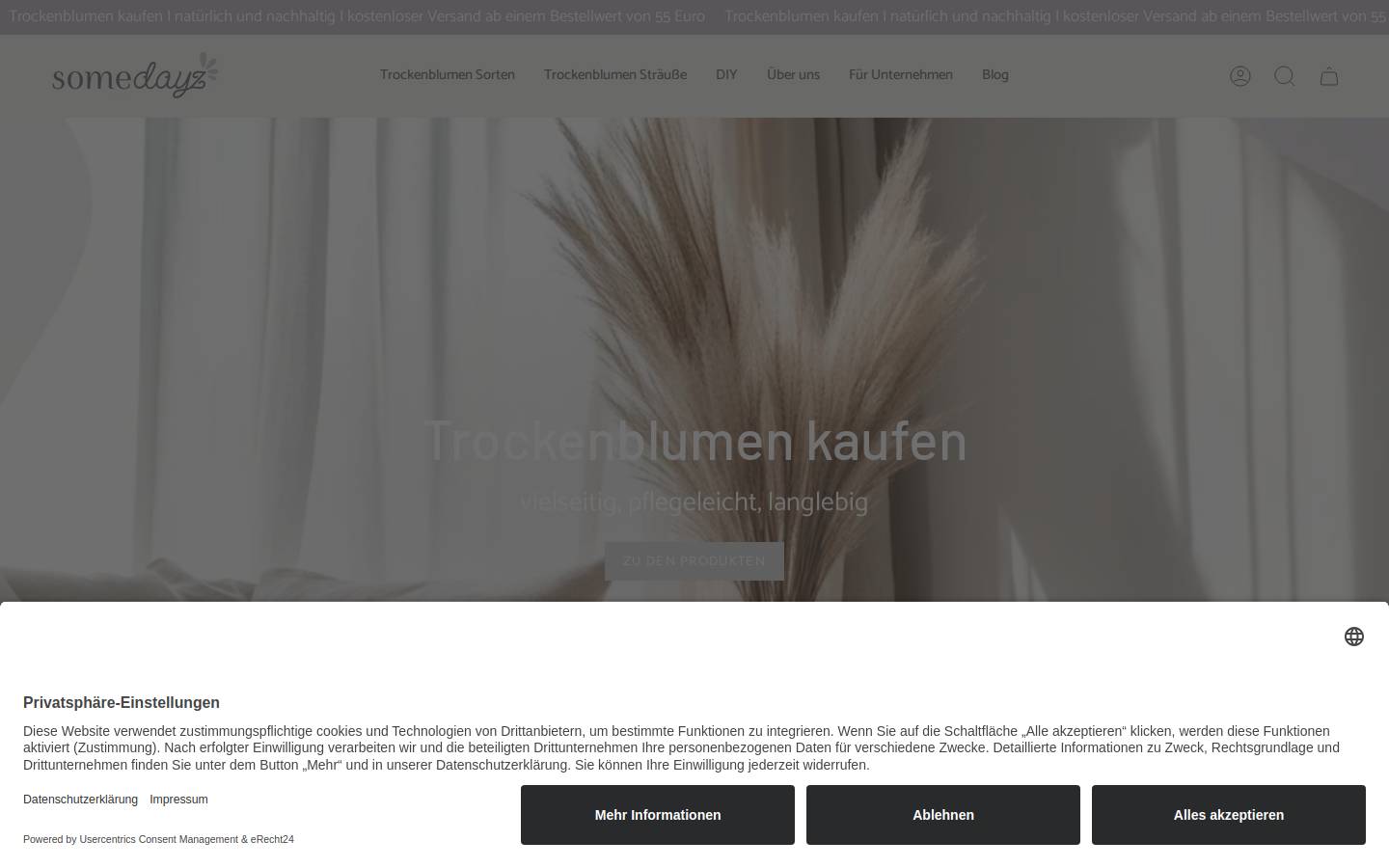 somedayz-shop.com homepage screenshot