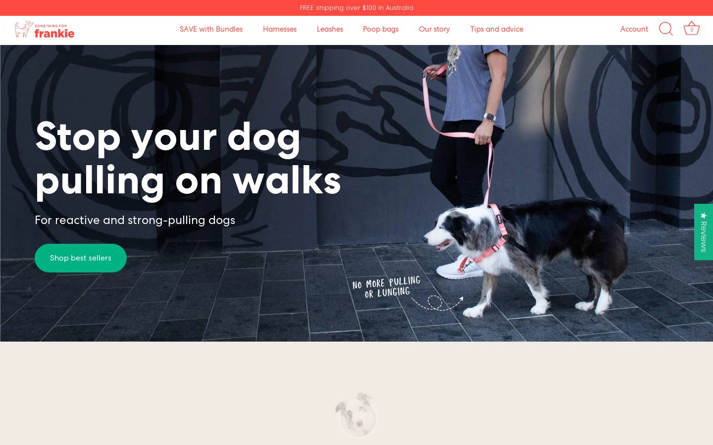 somethingforfrankie.com homepage screenshot