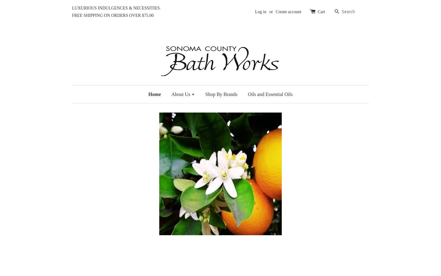 sonomabathworks.com homepage screenshot