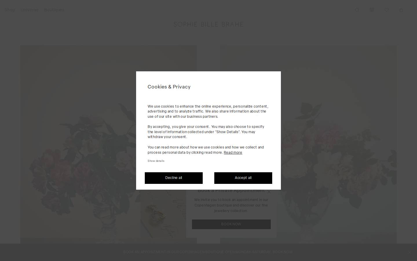 SOPHIE BILLE BRAHE homepage screenshot