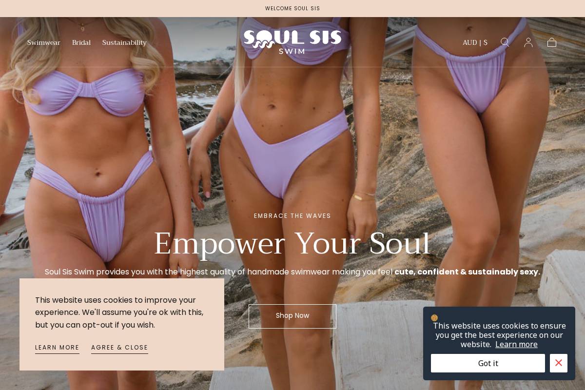 soulsisswim.com homepage screenshot