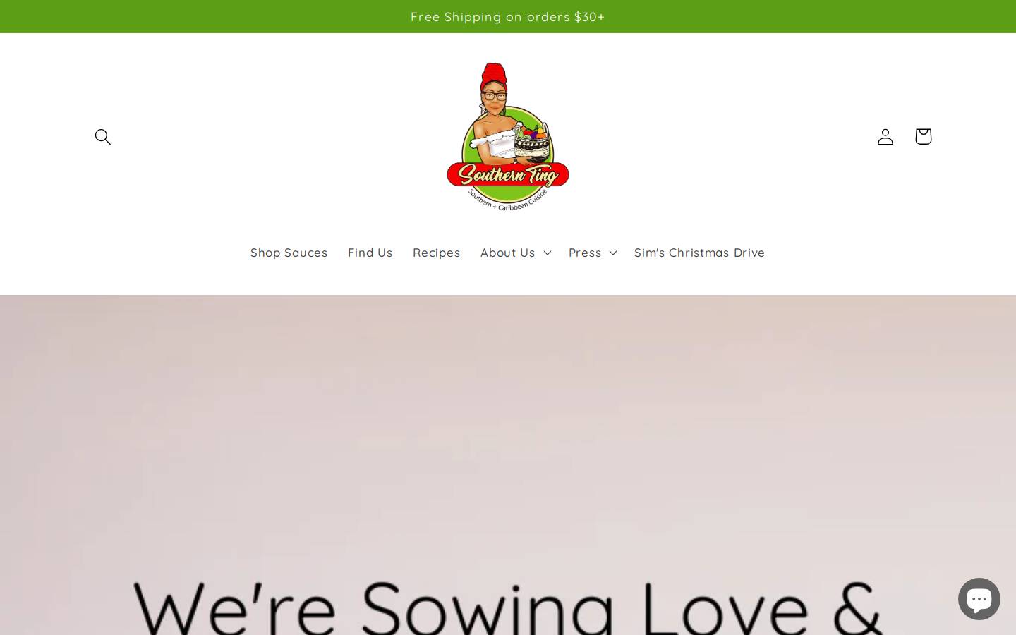 southernting.com homepage screenshot