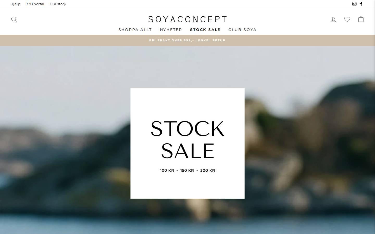 Soyaconcept homepage screenshot