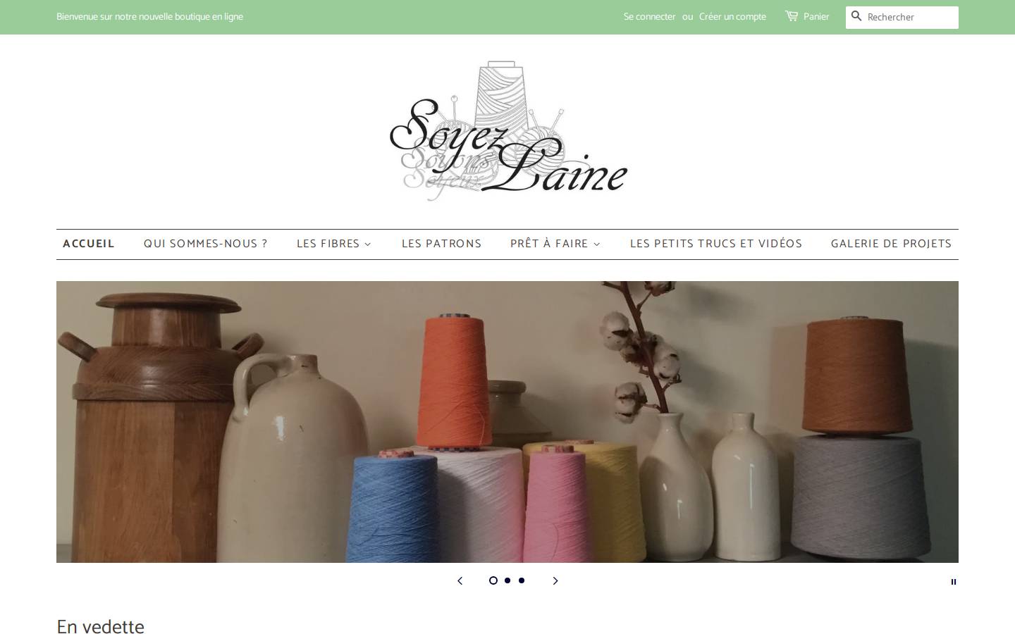 soyezlaine.com homepage screenshot