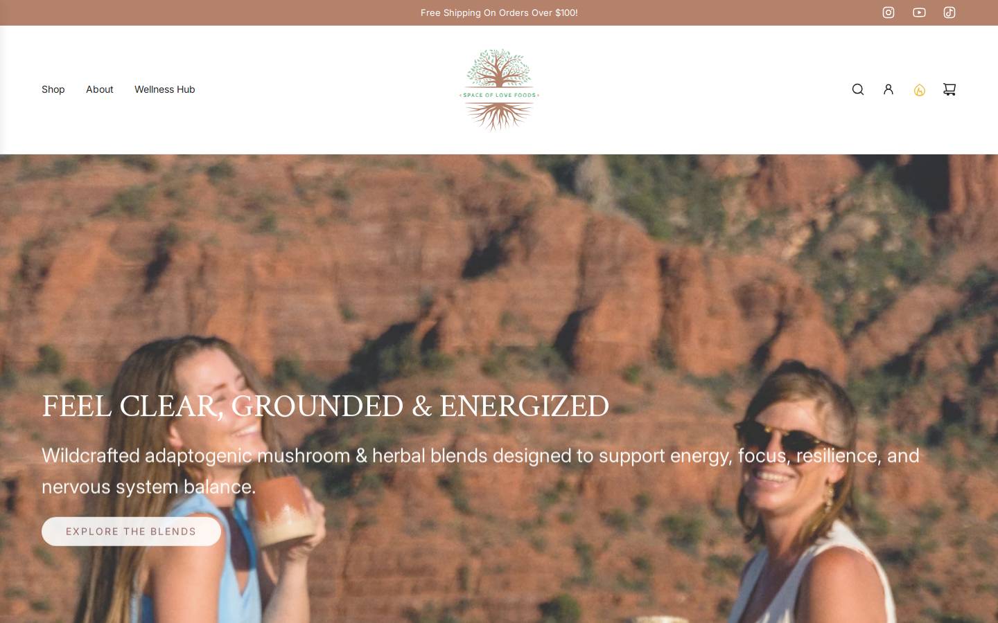 spaceoflovefoods.com homepage screenshot