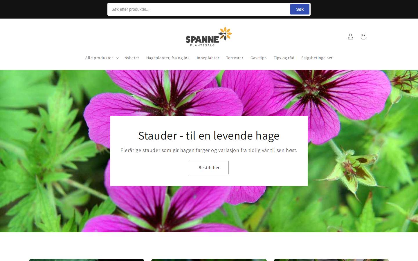 spanne-nett.no homepage screenshot