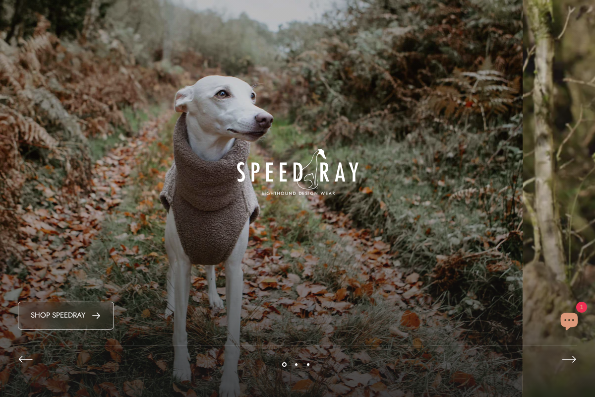 Speedray Design Wear homepage screenshot