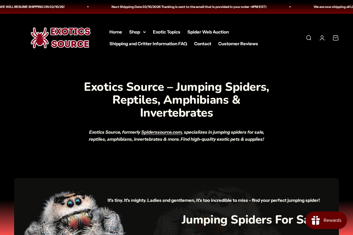 Exotics Source homepage screenshot