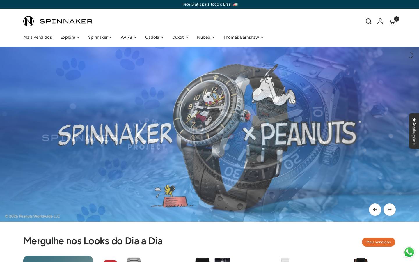Spinnaker homepage screenshot