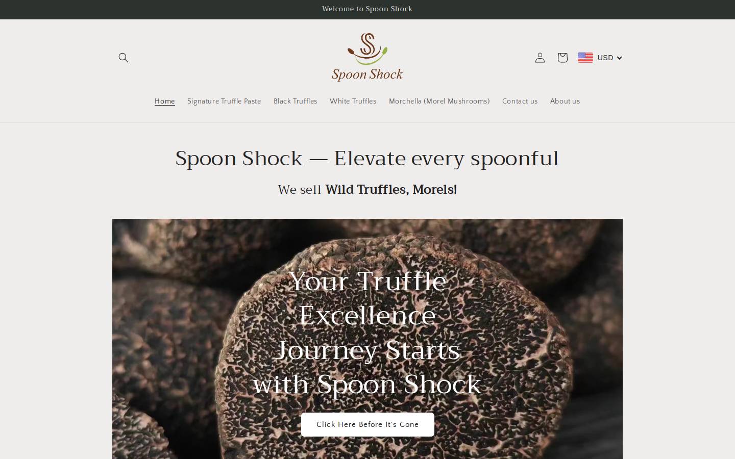 spoonshock.com homepage screenshot