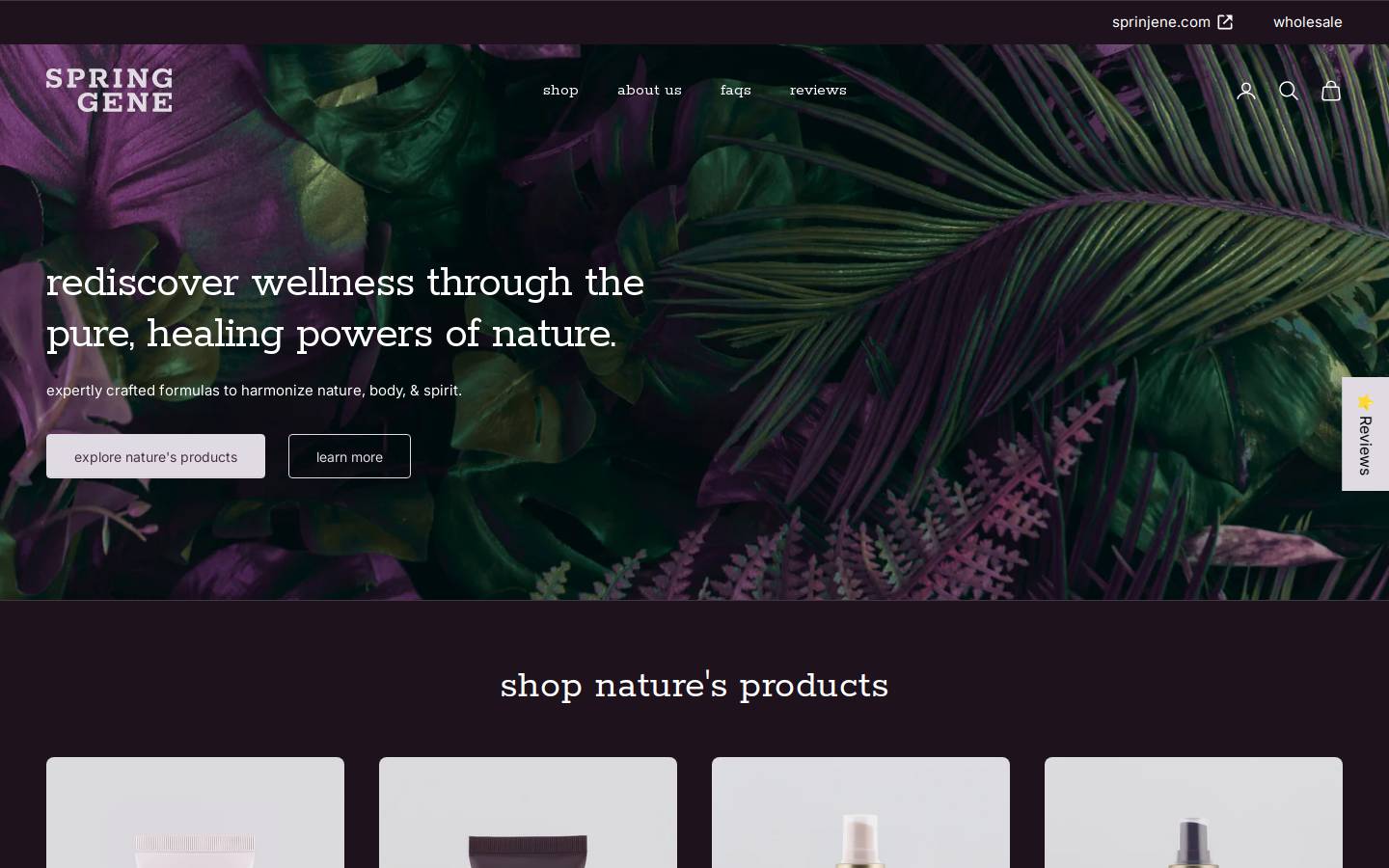 springene.com homepage screenshot