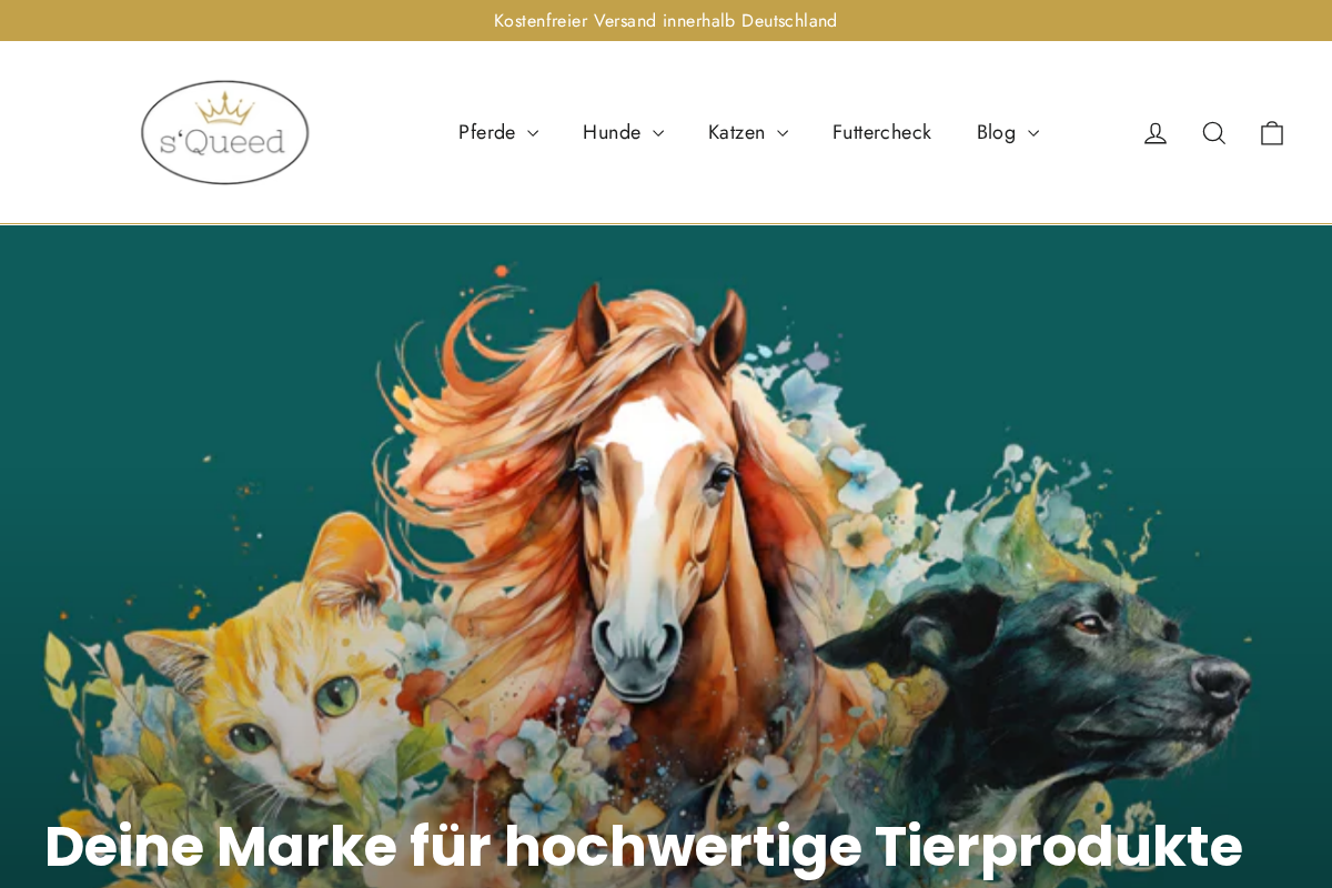 s`Queed homepage screenshot