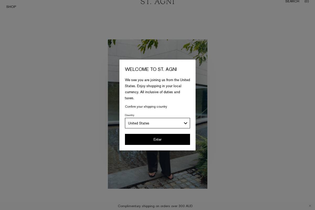 st-agni.com homepage screenshot