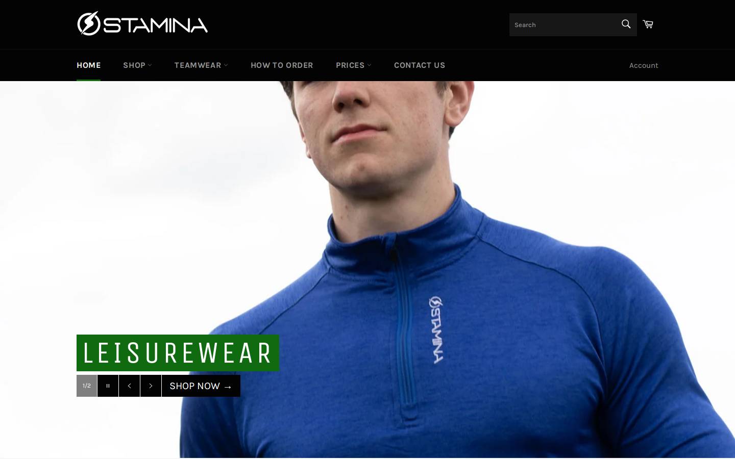 stamina.ie homepage screenshot