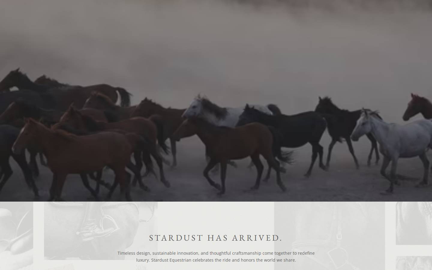 stardustequestrian.com homepage screenshot