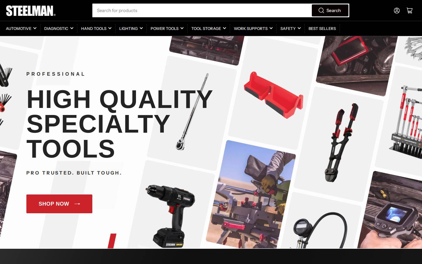 STEELMAN homepage screenshot