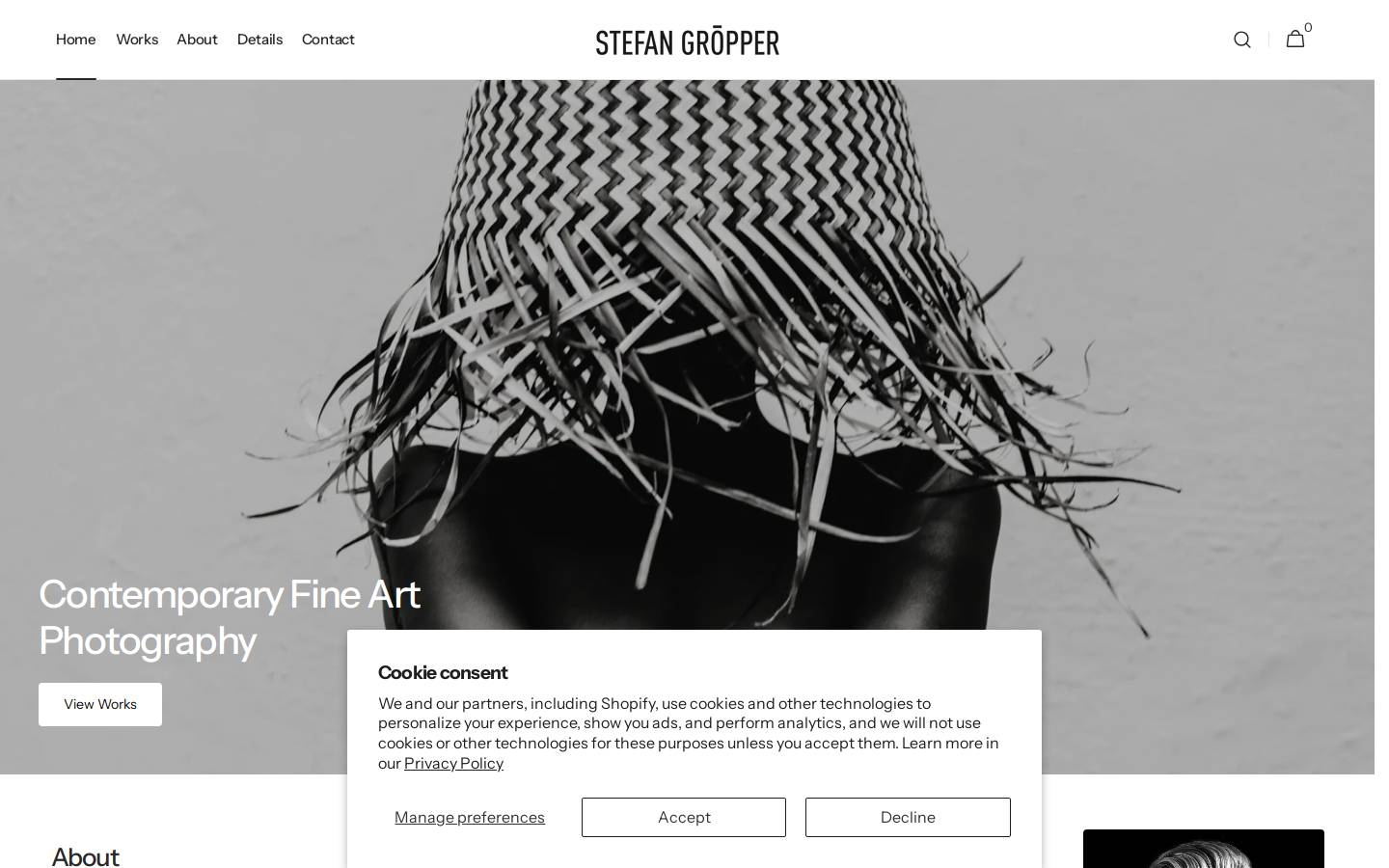 stefangroepper-art.com homepage screenshot