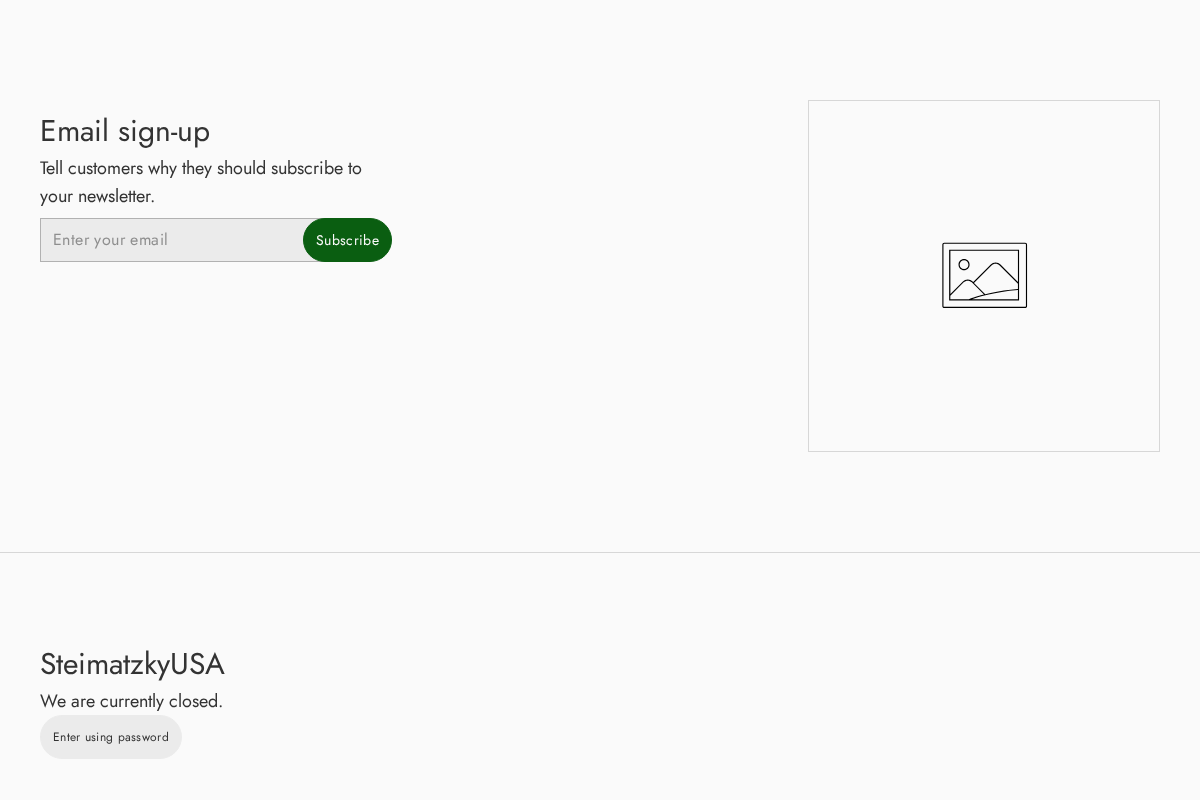 steimatzkyusa.com homepage screenshot