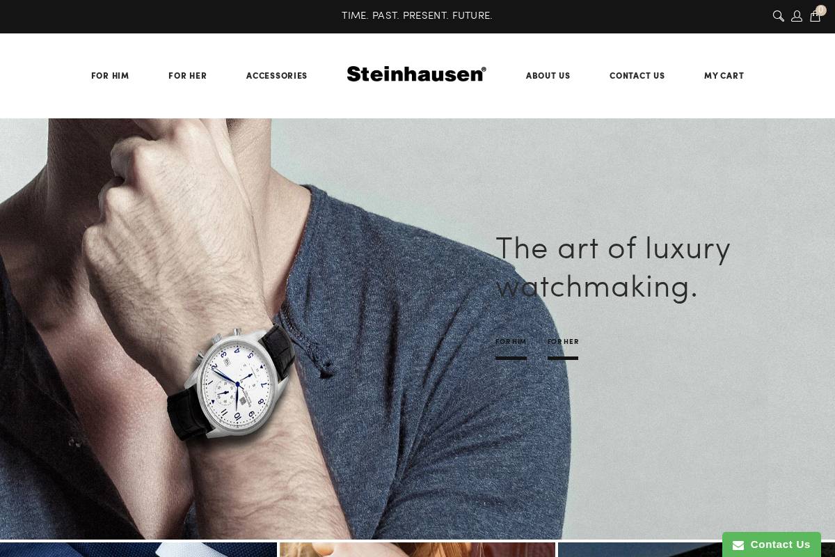 steinhausenonline.com homepage screenshot