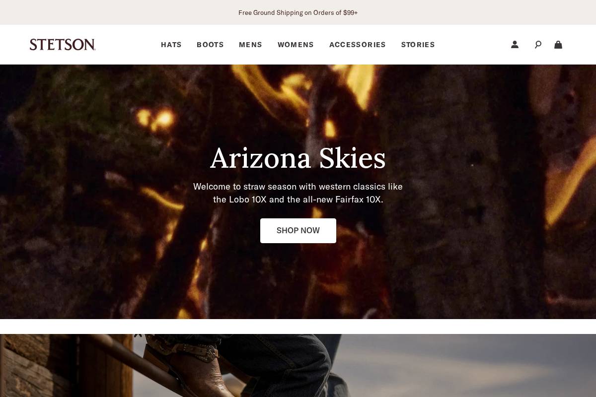 Stetson homepage screenshot