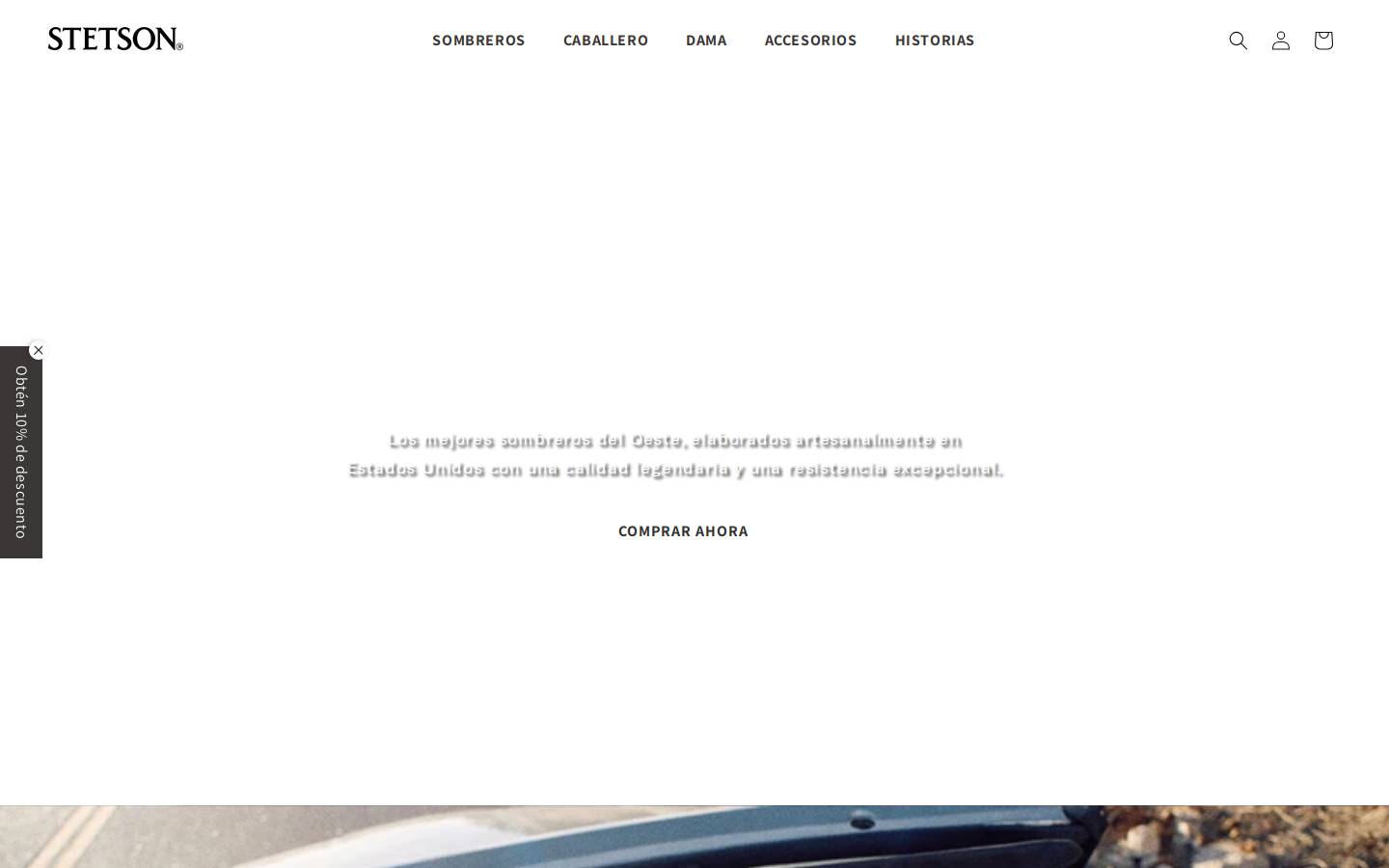 Stetson homepage screenshot
