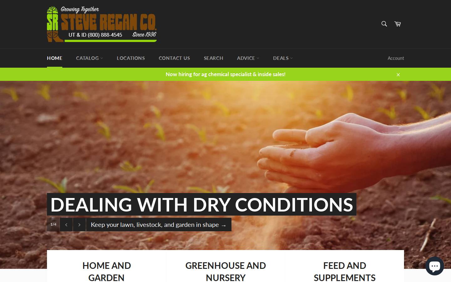 steveregan.com homepage screenshot