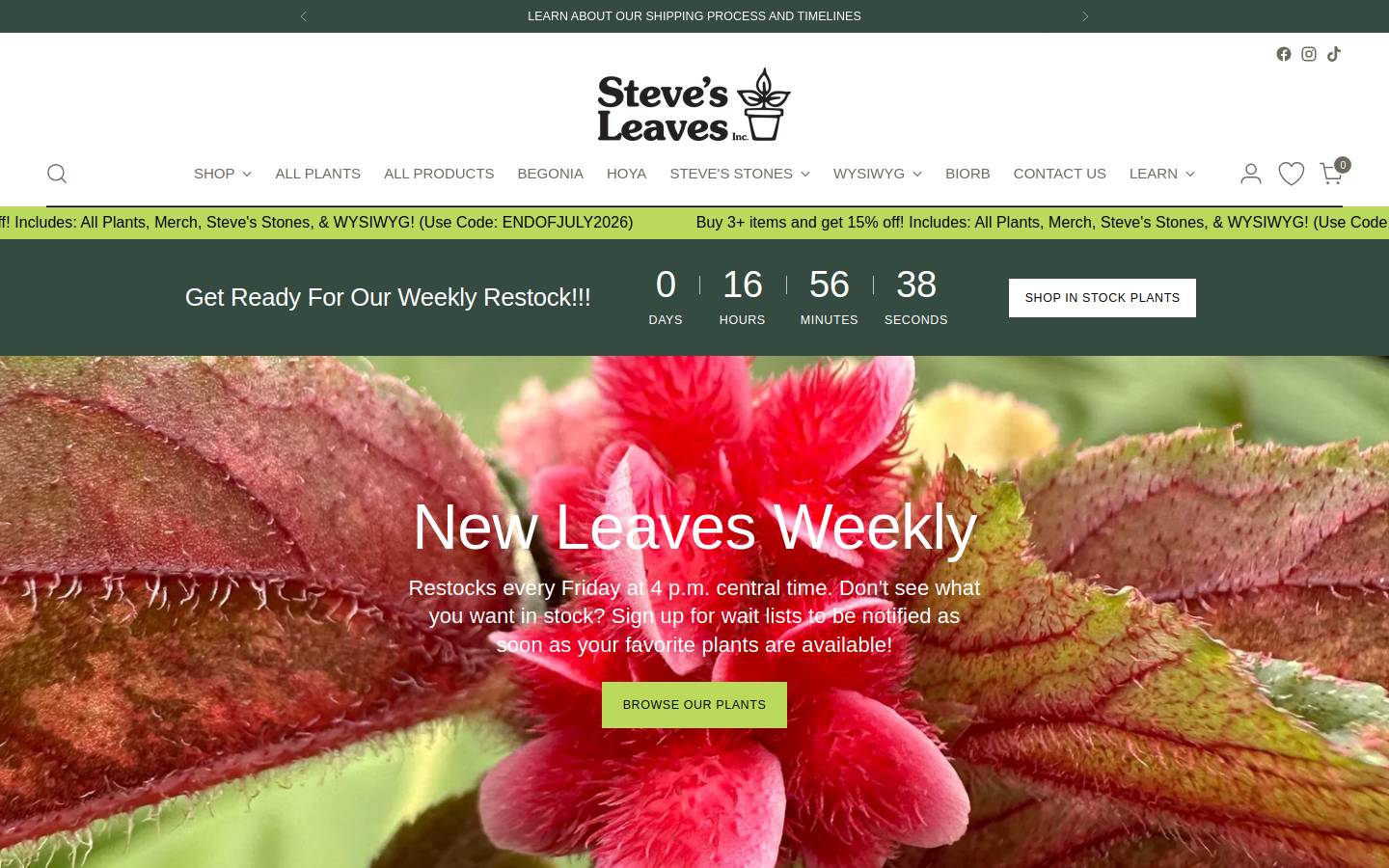 stevesleaves.com homepage screenshot