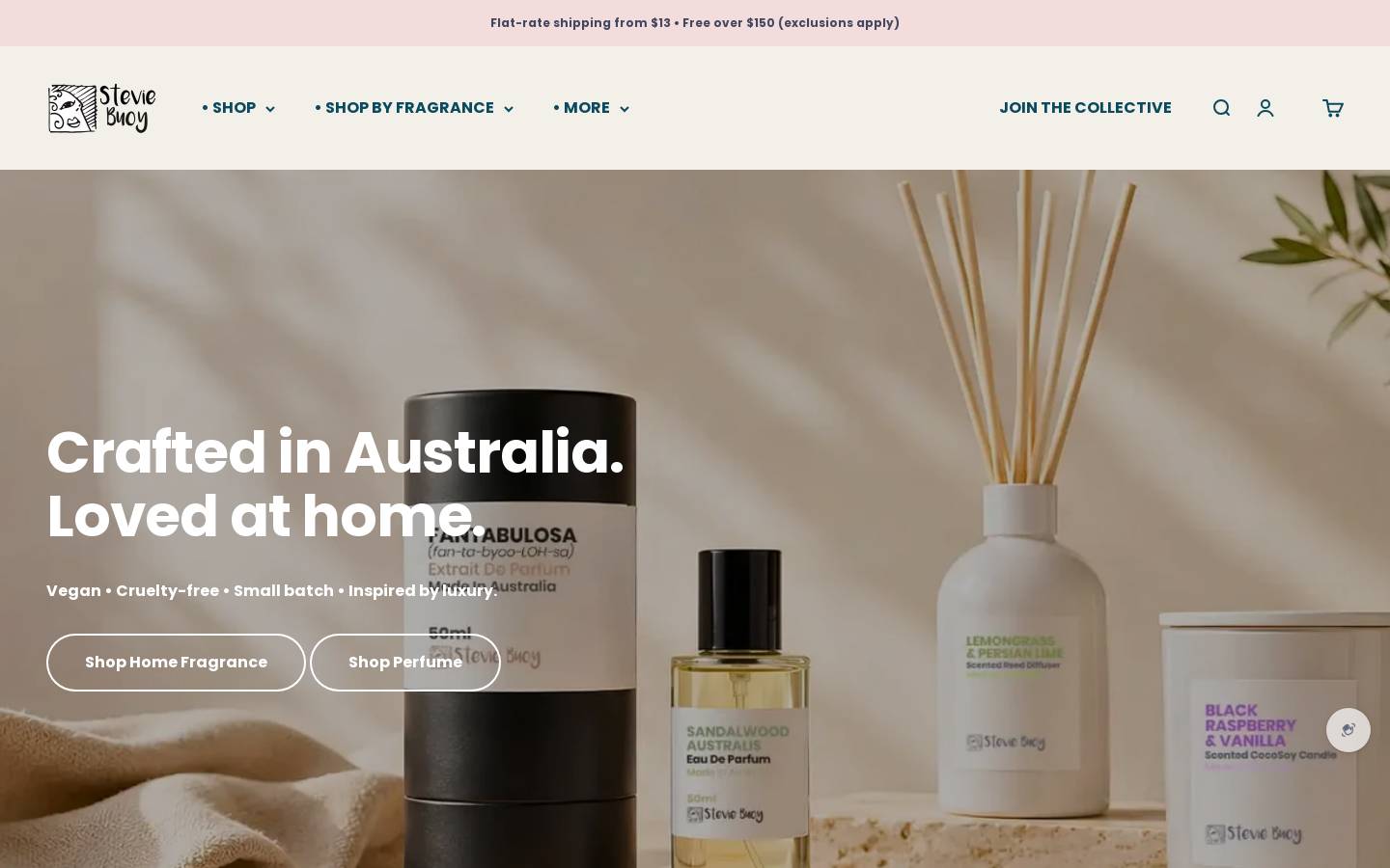 steviebuoy.com homepage screenshot