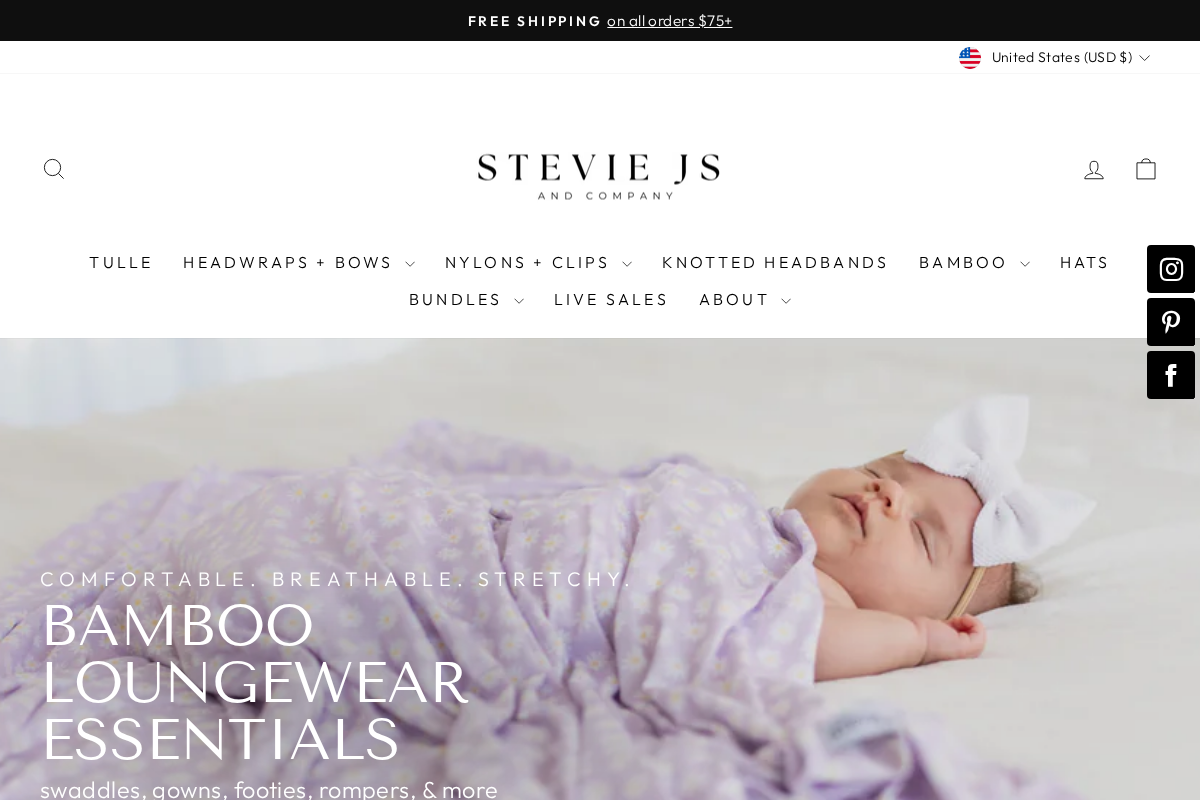 Stevie Js & Co homepage screenshot