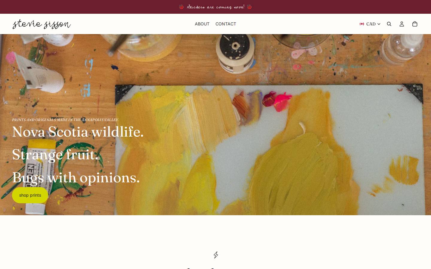 steviesissonart.com homepage screenshot