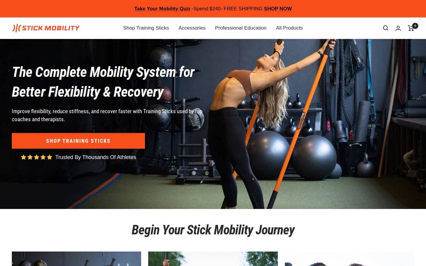 Stick Mobility homepage screenshot