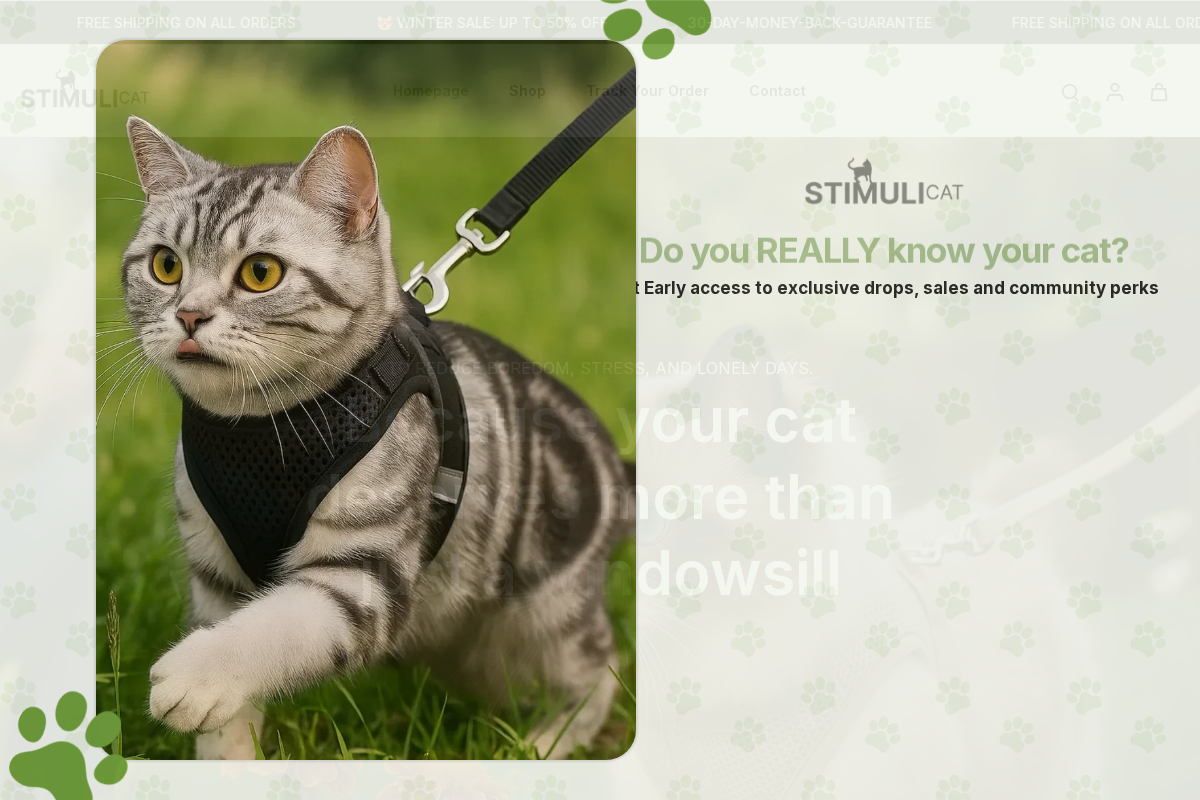Stimulicat homepage screenshot