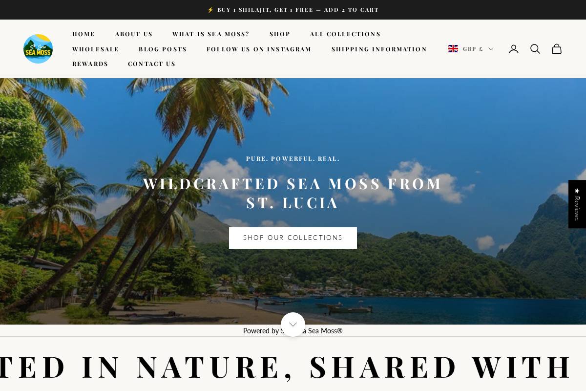 St Lucia Sea Moss homepage screenshot
