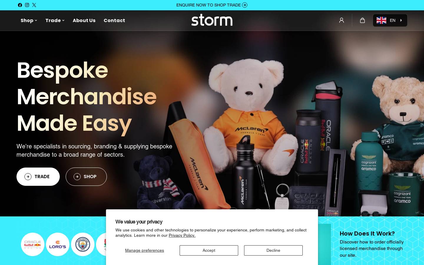 storm-international.com homepage screenshot