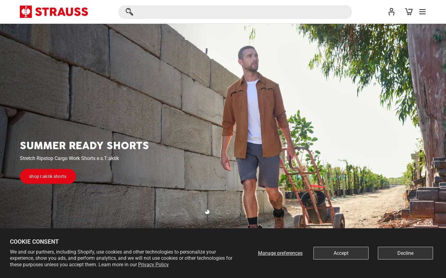Strauss homepage screenshot