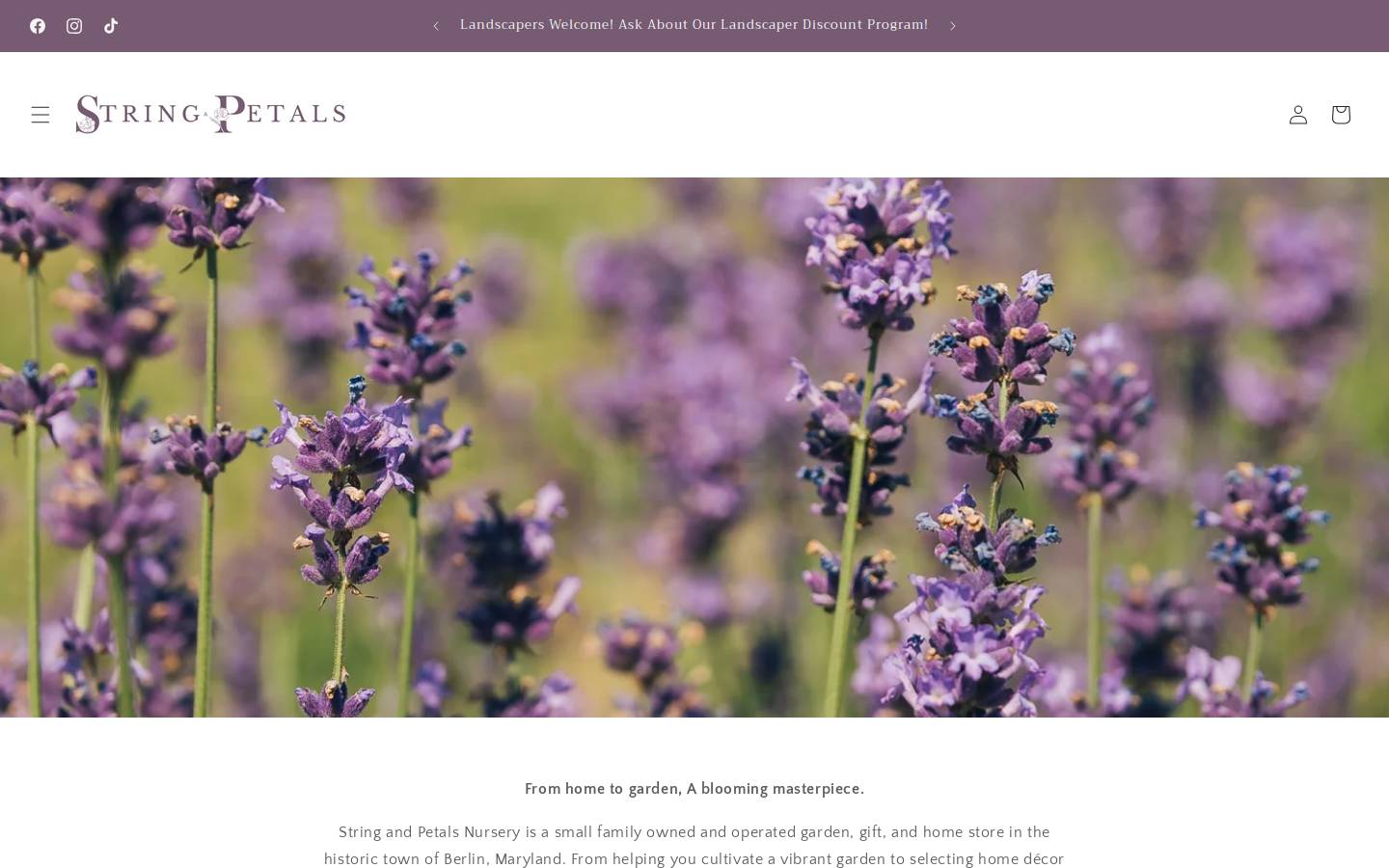 stringandpetals.com homepage screenshot