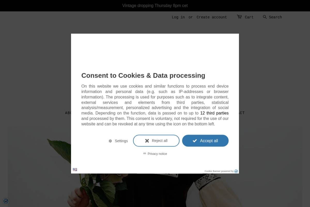 strobevintage.com homepage screenshot