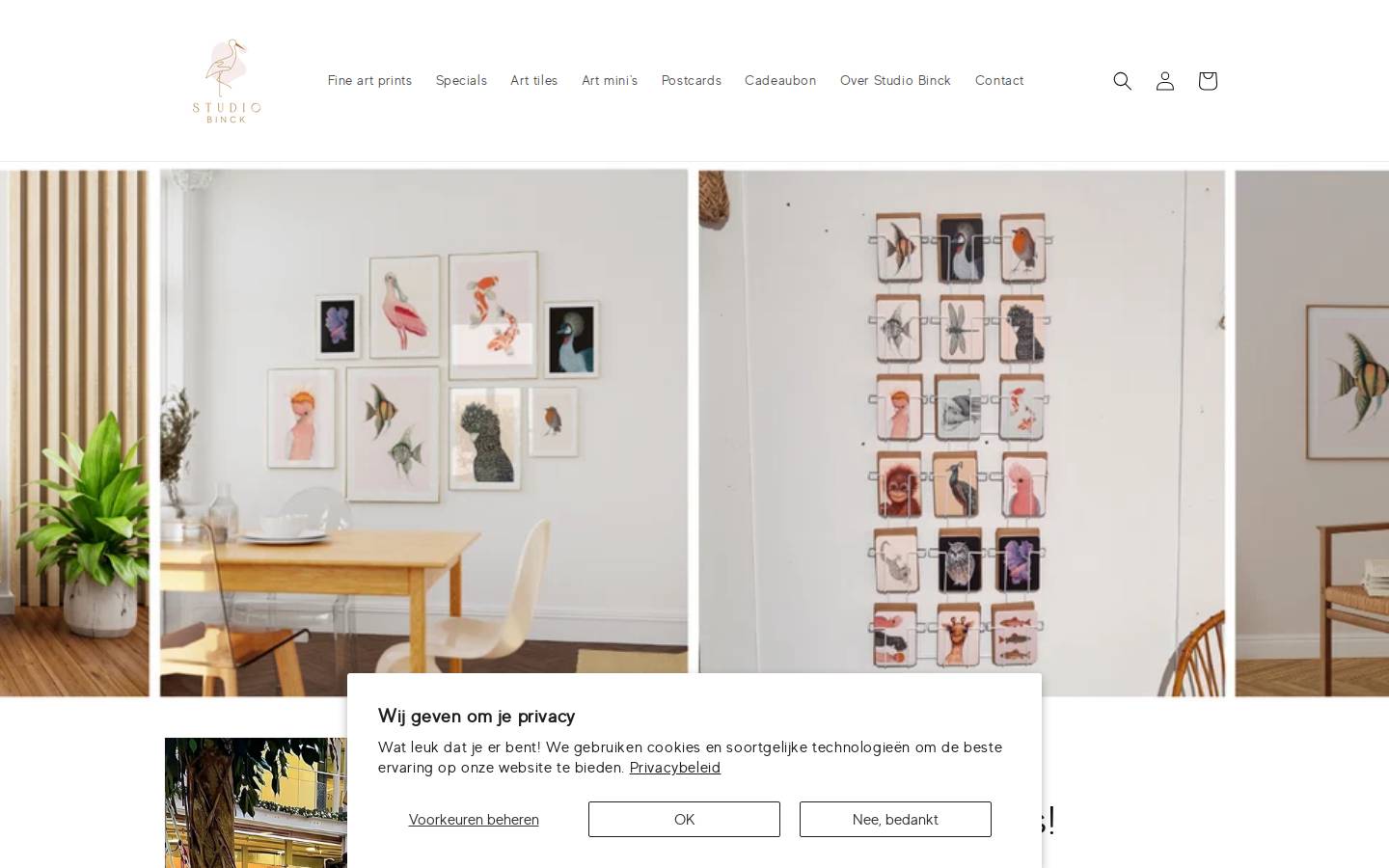 Studio Binck homepage screenshot