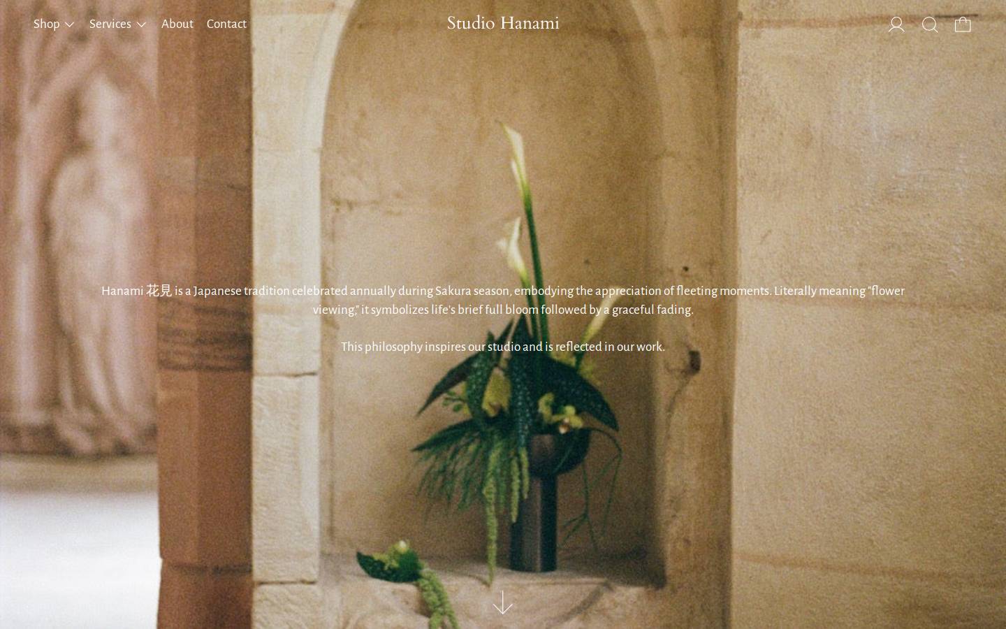 studiohanami.com homepage screenshot