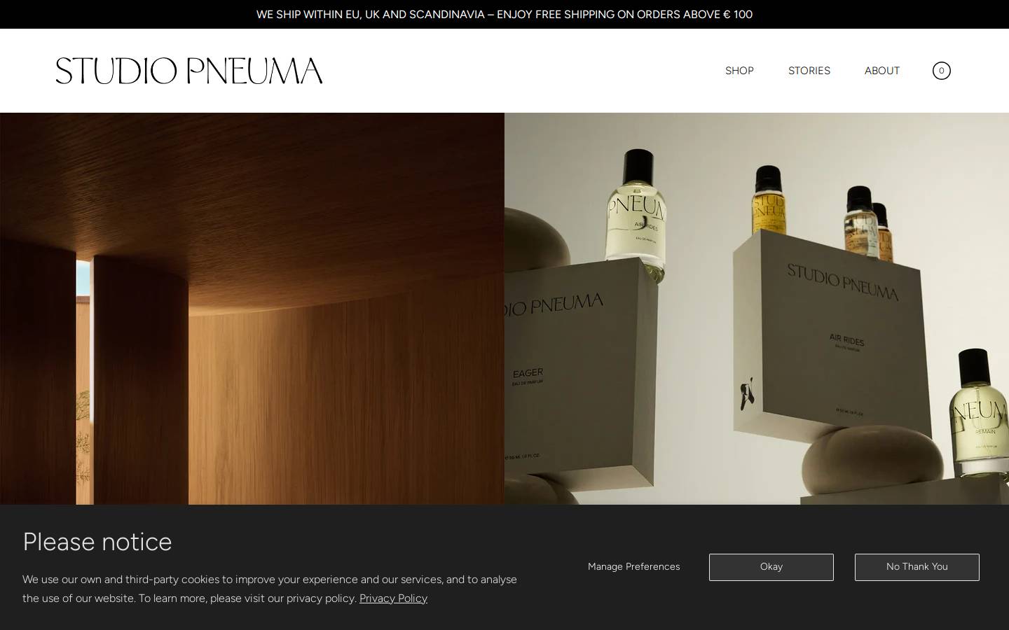 studiopneuma.com homepage screenshot