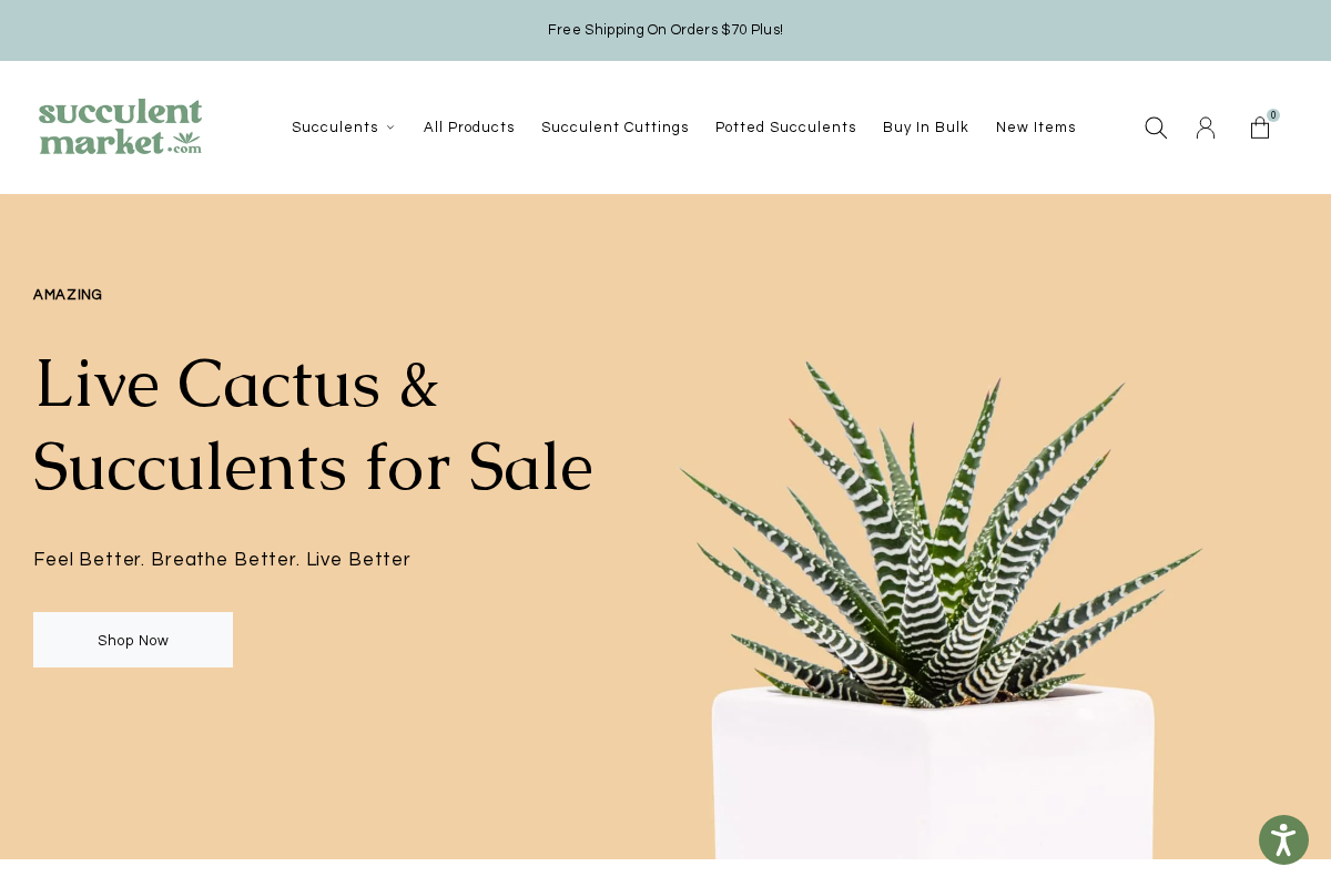succulentmarket.com homepage screenshot