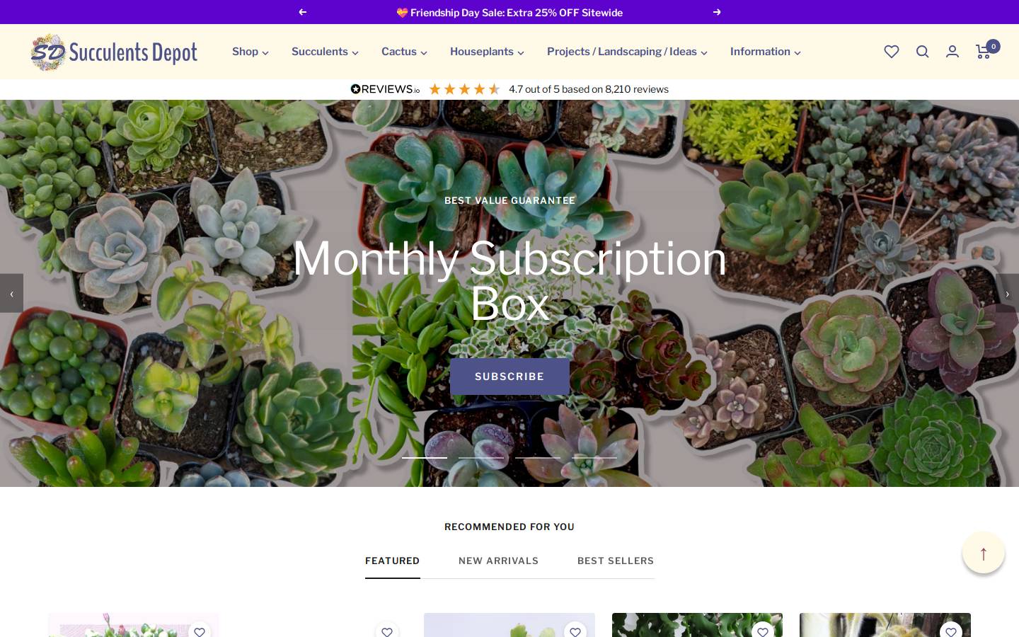 succulentsdepot.com homepage screenshot