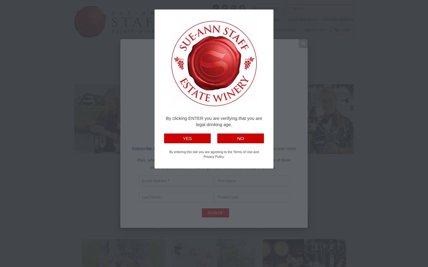 sue-annstaff.com homepage screenshot