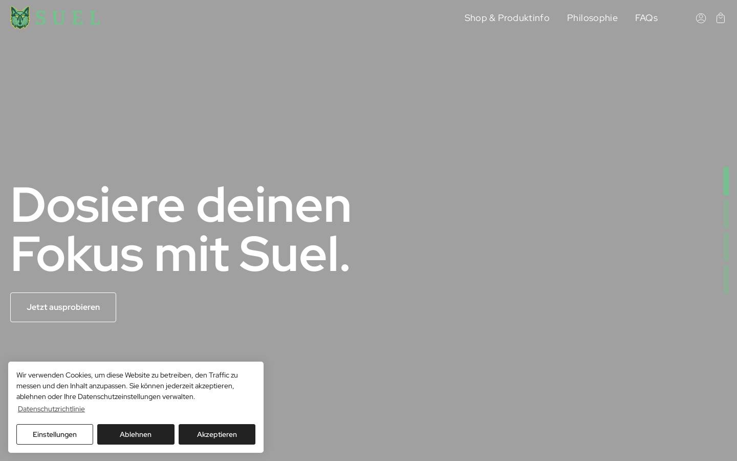 suelenergy.com homepage screenshot