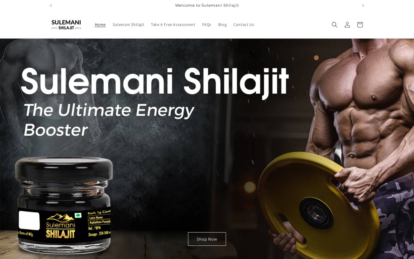 sulemanishilajit.com homepage screenshot