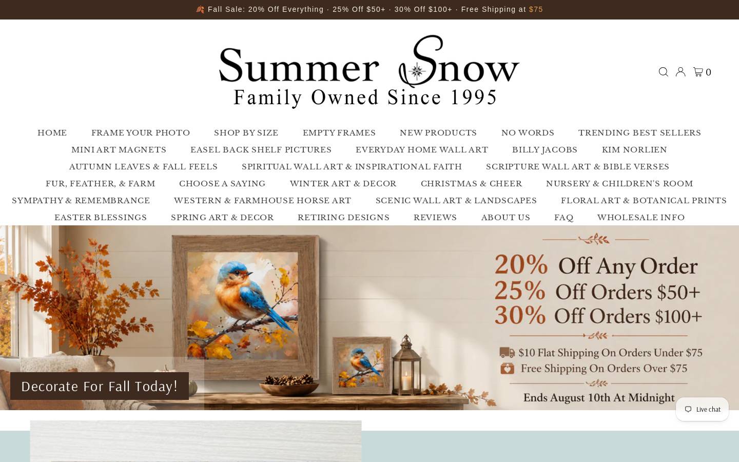 summersnowart.com homepage screenshot