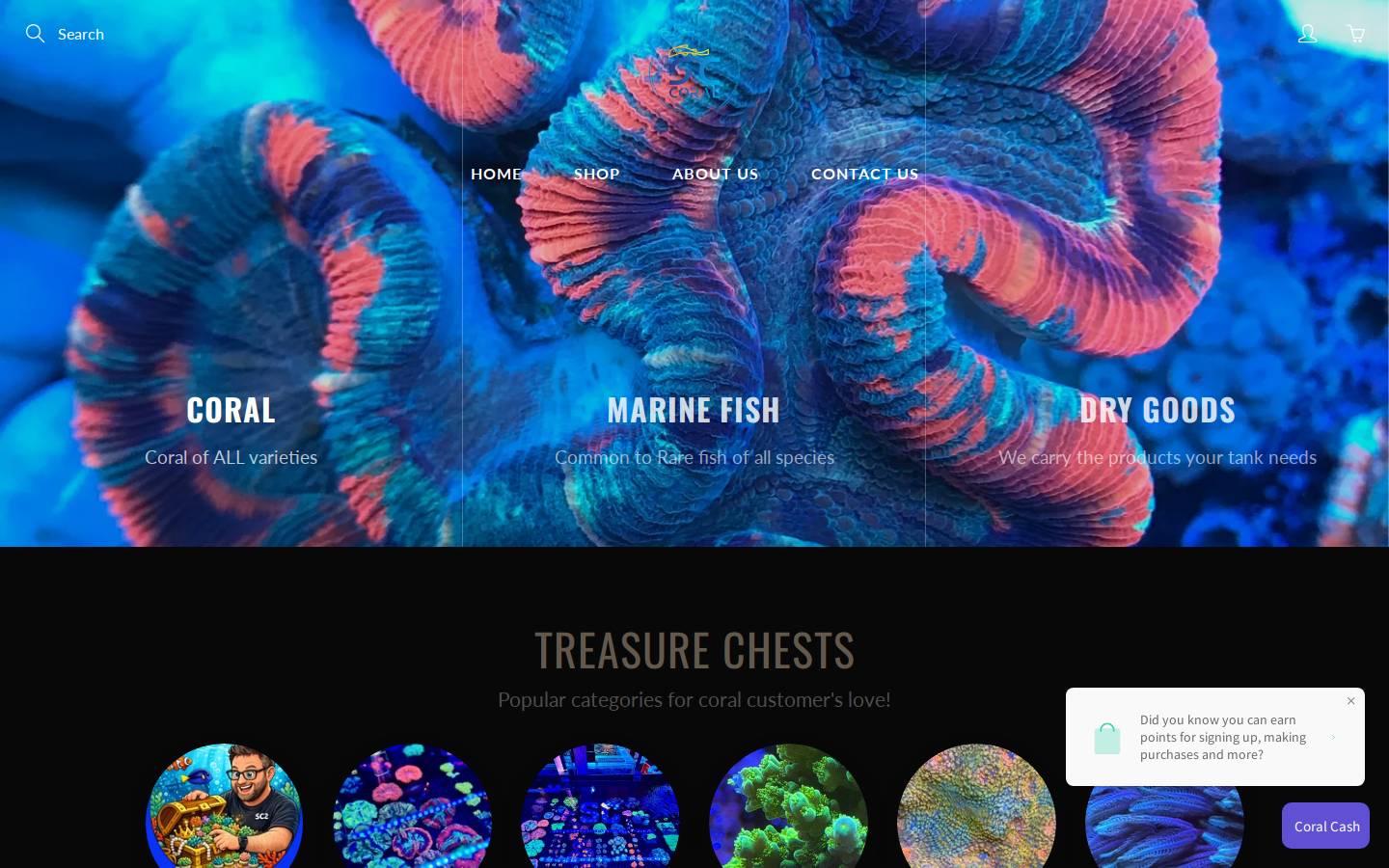 summitcitycoral.com homepage screenshot