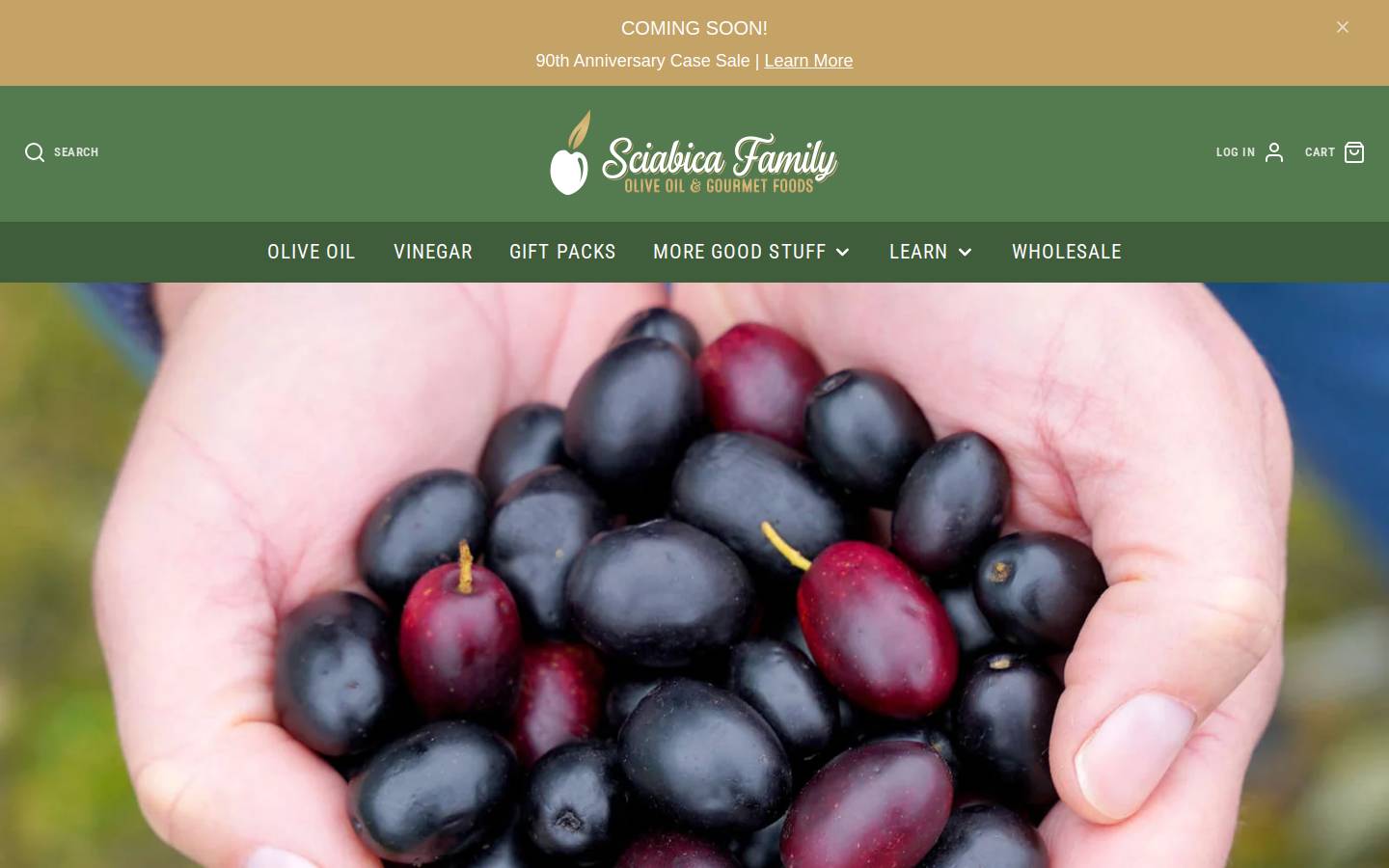 sunshineinabottle.com homepage screenshot